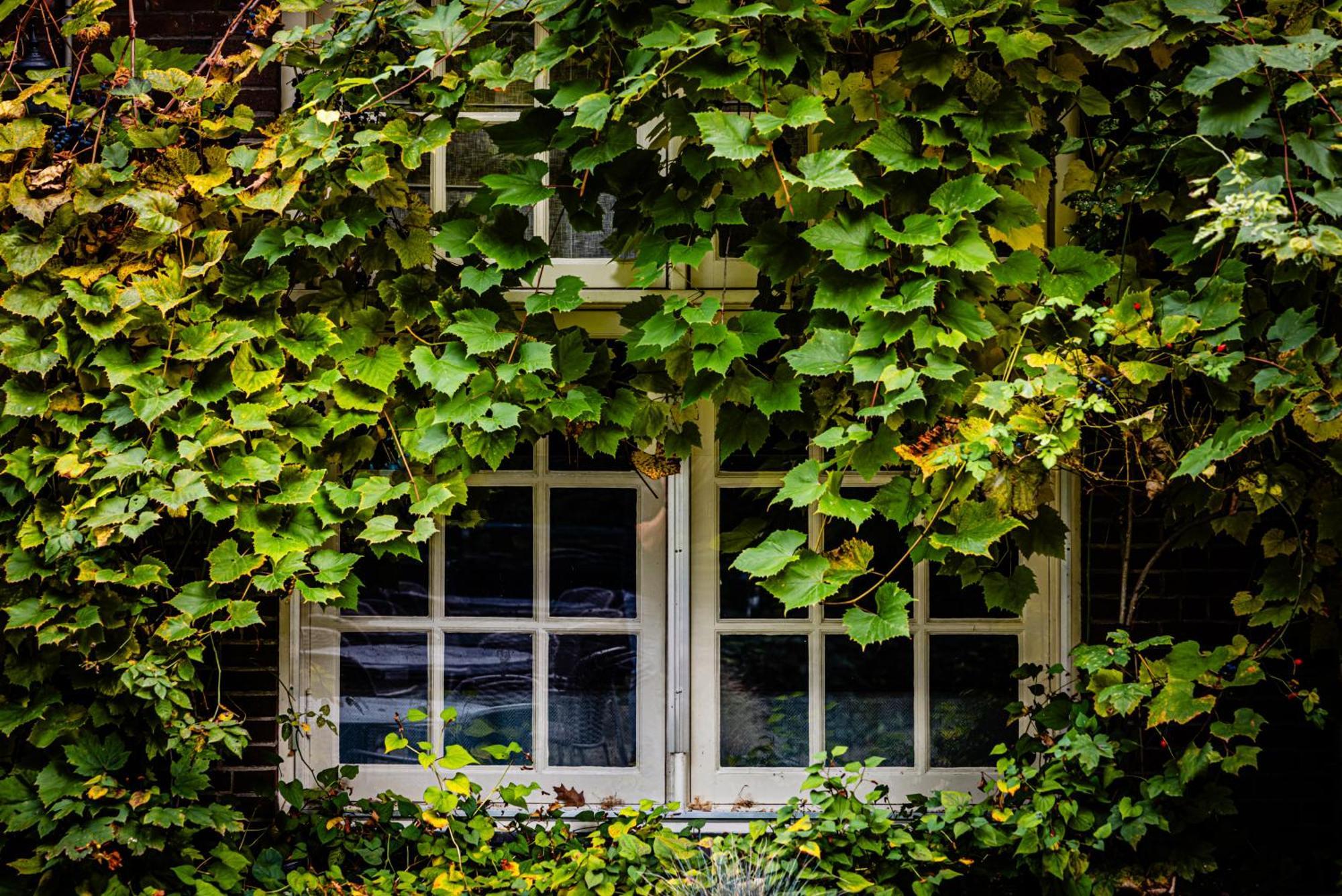 Kasteel Kerckebosch Hotel Zeist Exterior foto